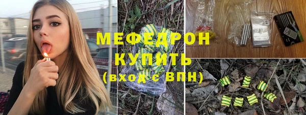 индика Аркадак