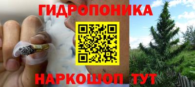 тгк Кимры