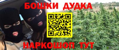 ПСИЛОЦИБИНОВЫЕ ГРИБЫ Камышлов