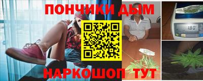 ПСИЛОЦИБИНОВЫЕ ГРИБЫ Камышлов