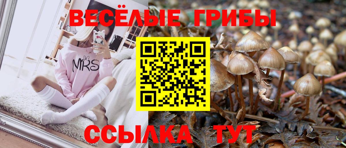 Псилоцибиновые грибы Cubensis Новороссийск