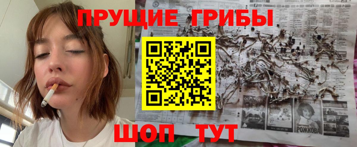 Галлюциногенные грибы Psilocybine cubensis  Вход с VPN  Новороссийск 